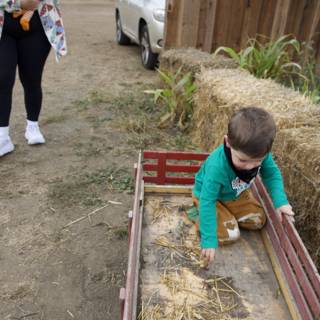 Exploring the Hay Wagons