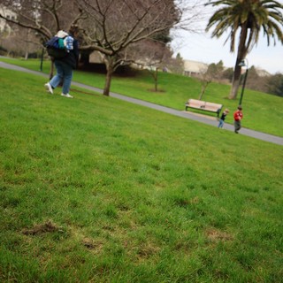 Playful Moment at Park on Hillside Path