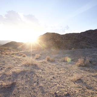 Sunset Walk in the Desert