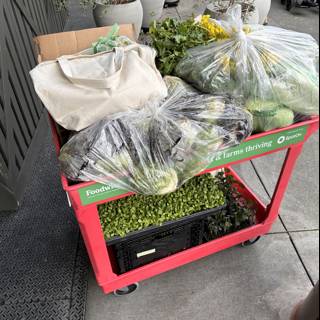 Fresh Harvest in San Francisco