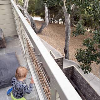 Curious Moments on the Balcony