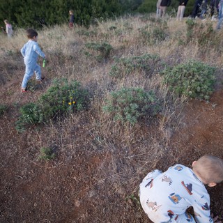Children Explore Dry Hillside at Mount Diablo Dusk