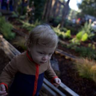 Exploring Nature's Playground