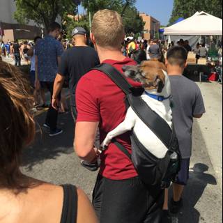 Crowd-Canine Carry