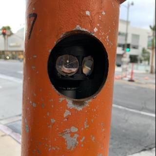 Parking Meter Surveillance