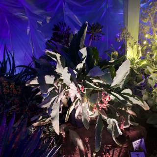 Enchanted Garden Lightscape