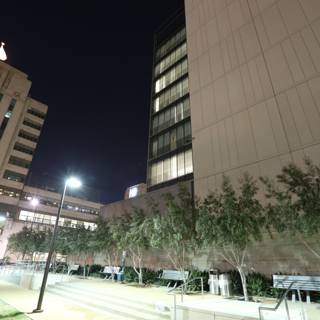 Nighttime View of Office Building in the City