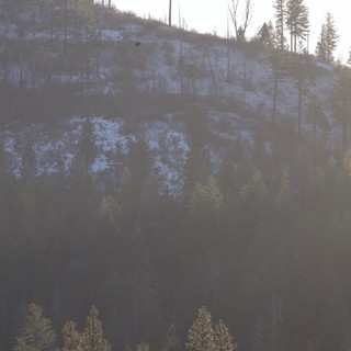 Misty Winter Morning on Snowy Mountain Slope