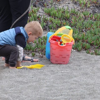 Toddler Discovers Sand Treasures at the Beach