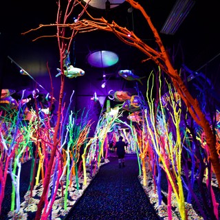 Neon Underwater Fantasy Installation with Child Silhouette