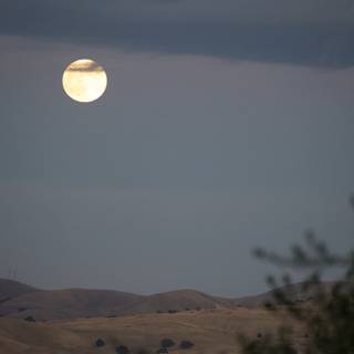 Serenity of a Walnut Creek Night