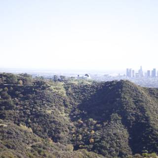 Cityscape from Griffith Park