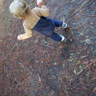Little Explorer in Thistlewyck