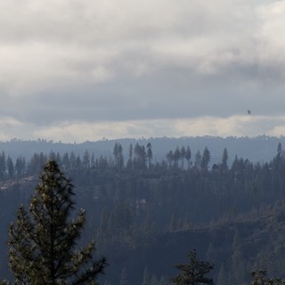 Misty Forest Ridges Under Overcast Sierra Nevada Skies