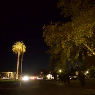 Illuminating Downtown Sonoma Nightscape