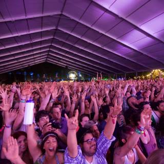 Coachella Crowd Goes Wild