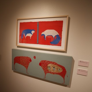 Contemporary Indigenous Art Display in Gallery Setting
