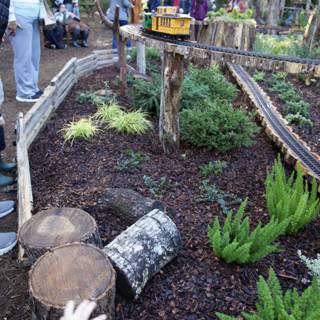 Enchanted Woodland Gathering