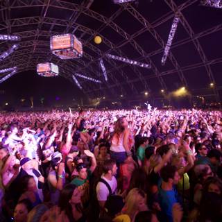 Coachella Crowd with Arms Up