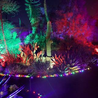 Enchanted Night at Garden of D'Lights