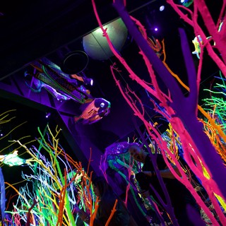 santa-fe-new-mexico-art-museum-or-gallery-installation