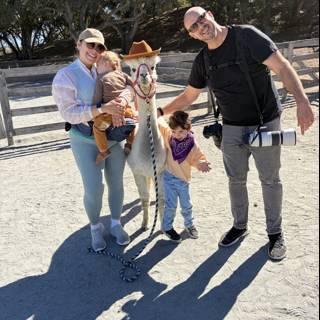 Alpaca Adventures in Carmel Valley