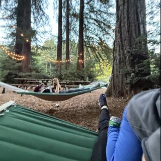 Tranquil Dusk in Guerneville