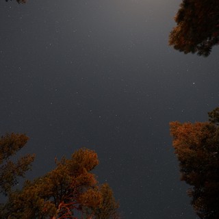 awe-inspiring-serene-contemplative-mystical