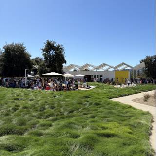 Sunny Day Gathering in Napa