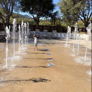 Splashing Through Sunny Days