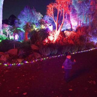 Enchanted Evenings