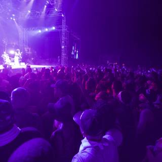 Purple Haze: A Vibrant Crowd at Coachella 2014