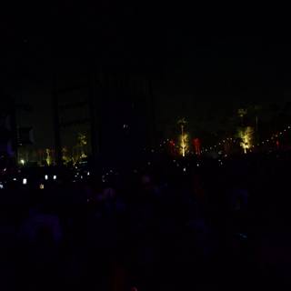 Midnight Pulse: Coachella 2024