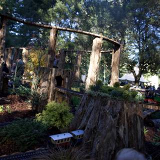 Enchanting Woodland Railway
