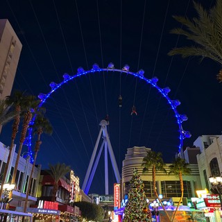 The High Roller Observation Wheel Illuminated at Night