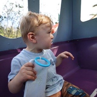 Young Child Playing at Playground in Fantasyland