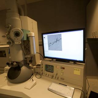 Microscope observation on computer screen