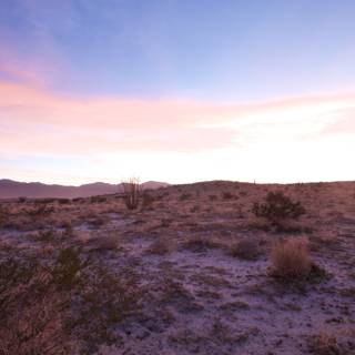 Pink Desert Twilight