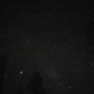 A Night Among the Stars