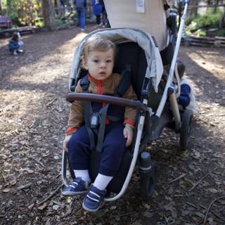 A Stroll Through Thistlewyck