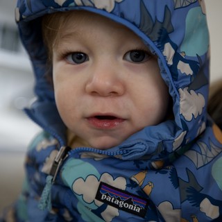 Toddler in Blue Patagonia Winter Jacket Portrait