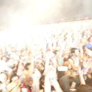 The Excited Masses at Cochella 2010