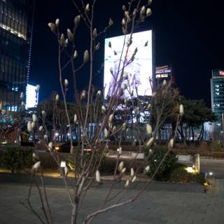 Urban Blossoms: An Ode to Nature Amidst Skyscrapers, 2024