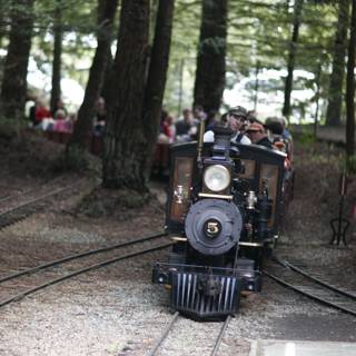 Riding Through the Forest on a Locomotive