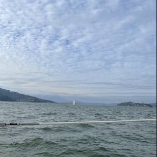 Sailing along San Francisco's Stunning Bay