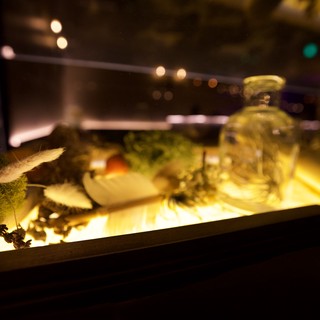 Illuminated Natural Curiosities Display at Night