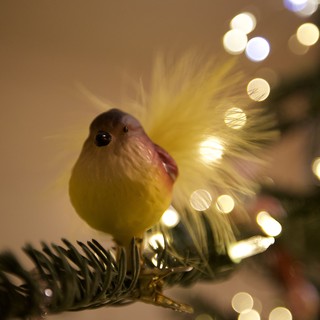 Cheerful Bird Ornament on Illuminated Christmas Tree