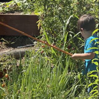Growing Adventures