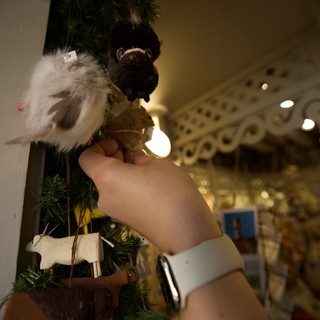 Decorating the Christmas Tree with Festive Ornaments