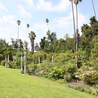 Serene Villa Garden